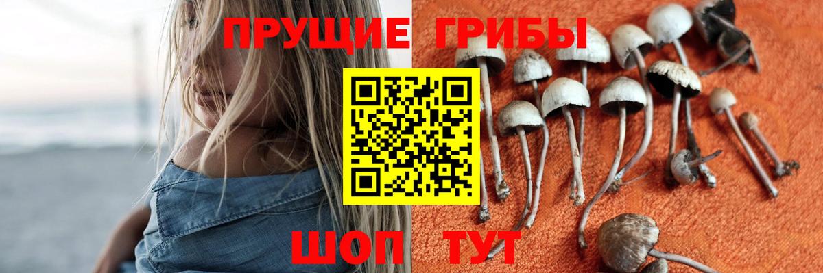 Набережные Челны  Псилоцибиновые грибы мицелий  Вход с VPN 